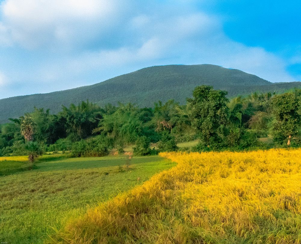 Photograph by Ramya Roy