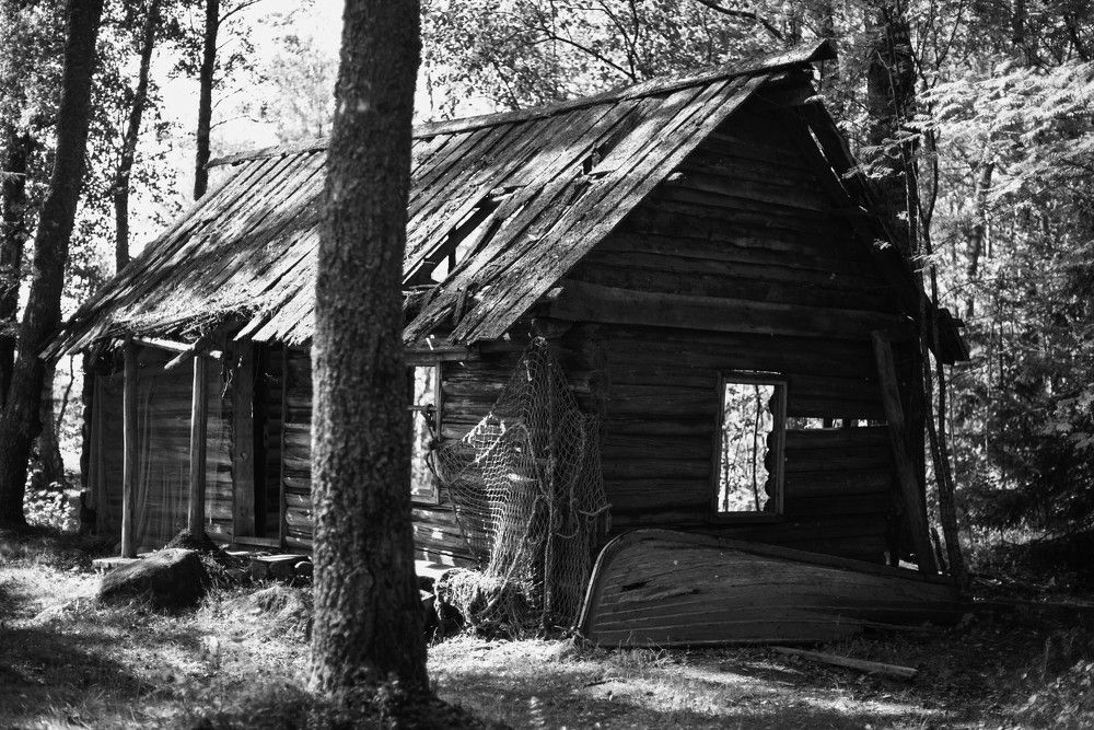 Photograph by Ольга Темкина