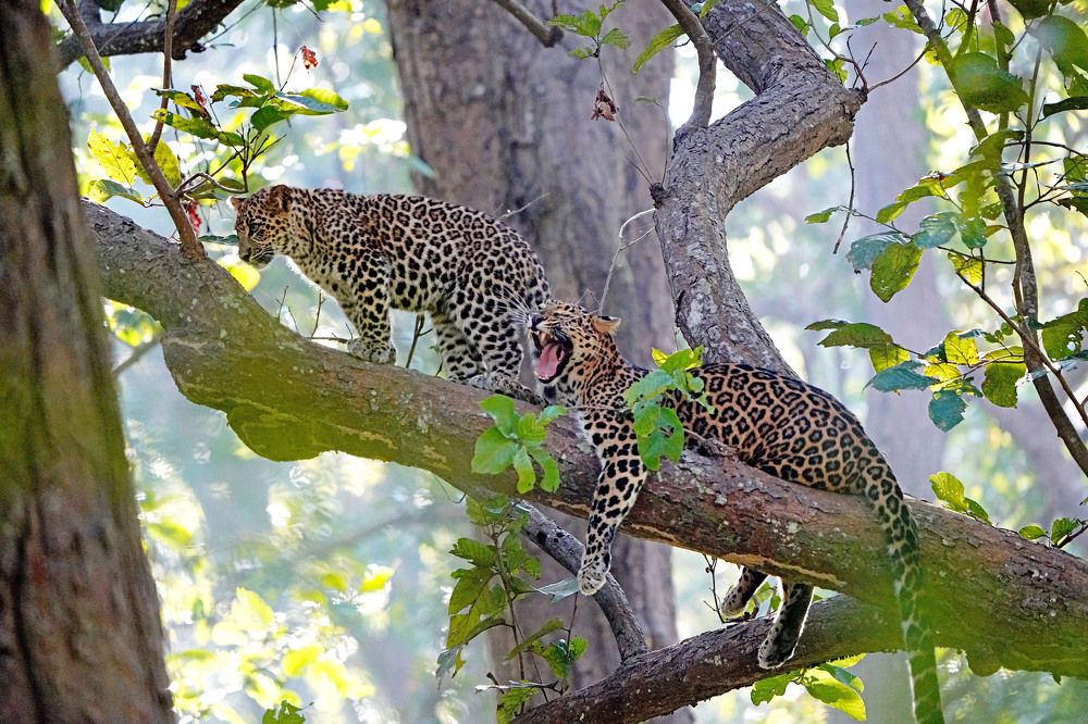 Photograph by Nirmalya Chakraborty