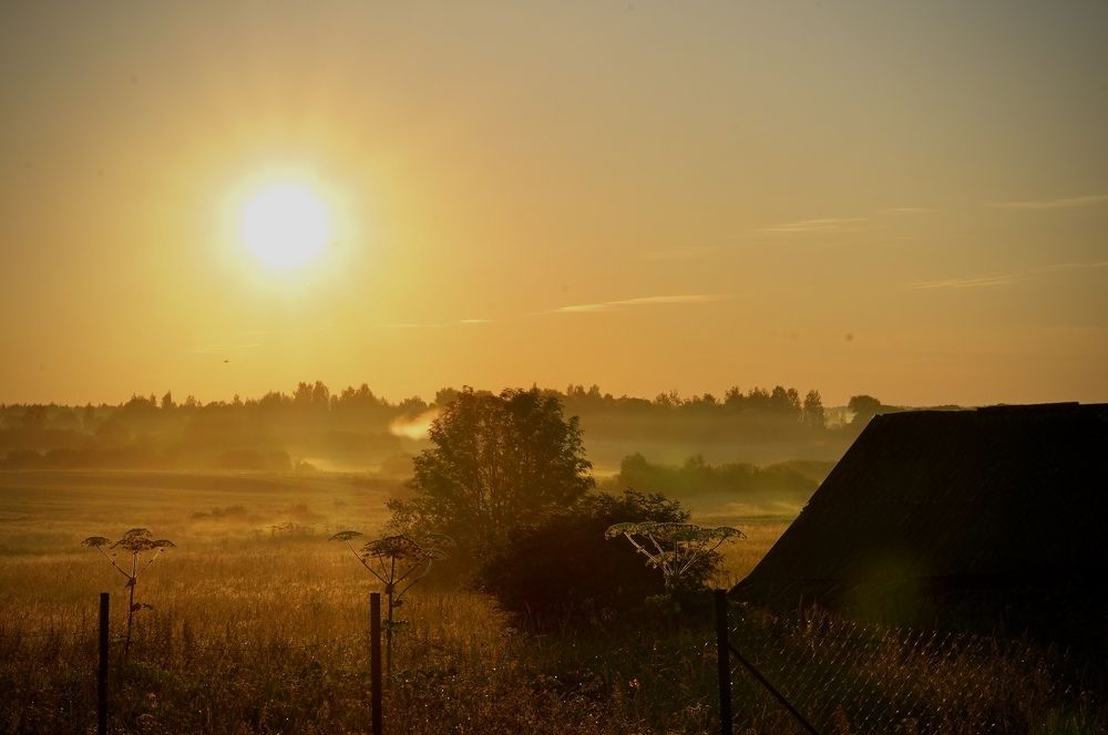 Photograph by Tatiana Grinko