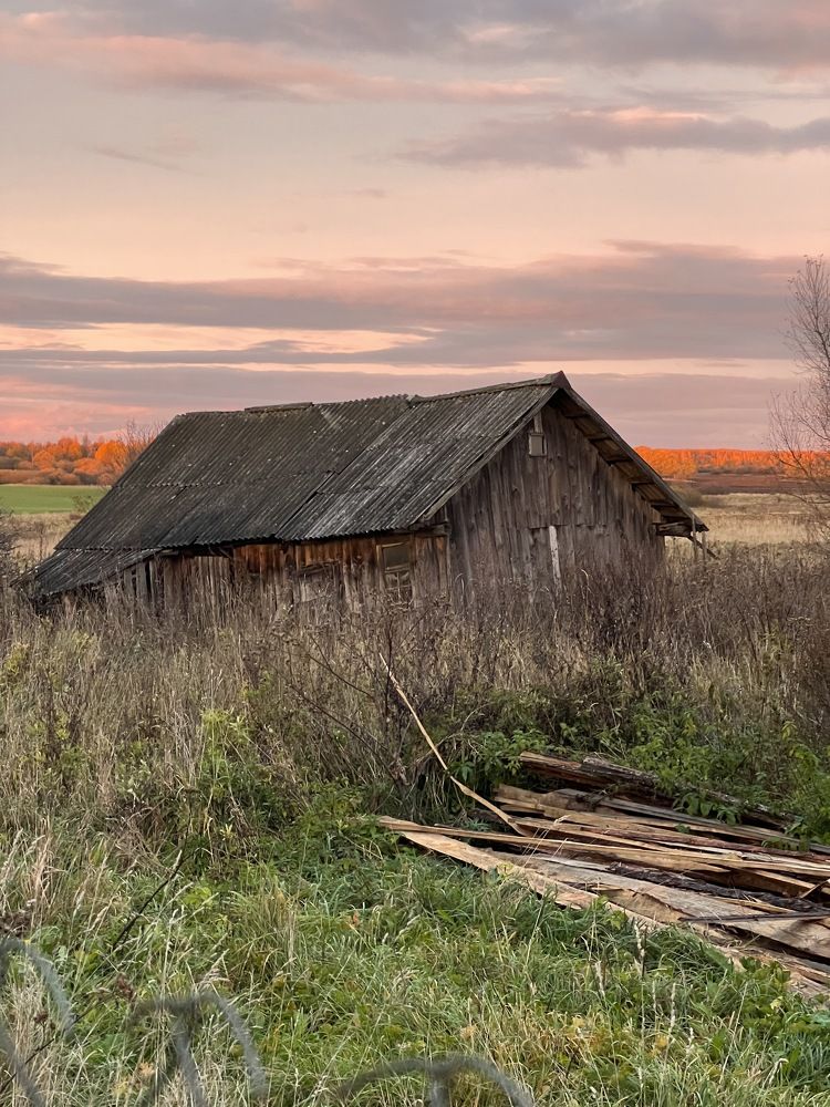 Photograph by Tatiana Grinko