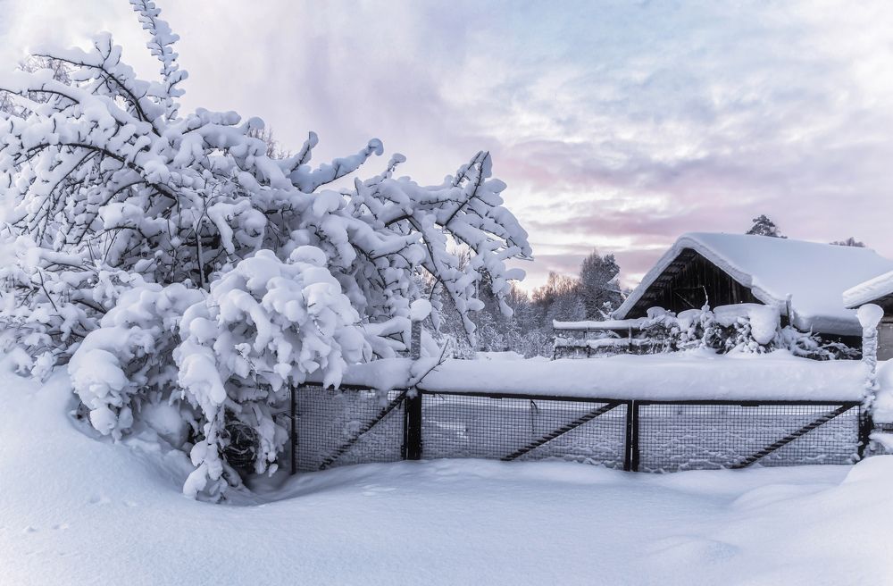 Фотография автора Ольга Егунова