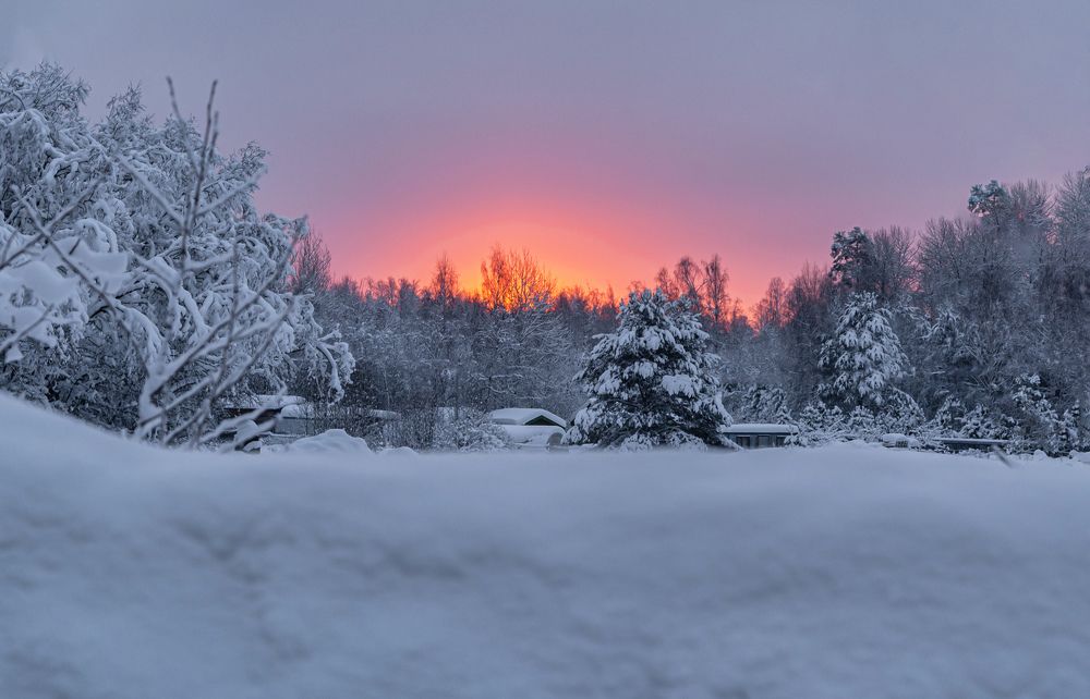 Фотография автора Ольга Егунова