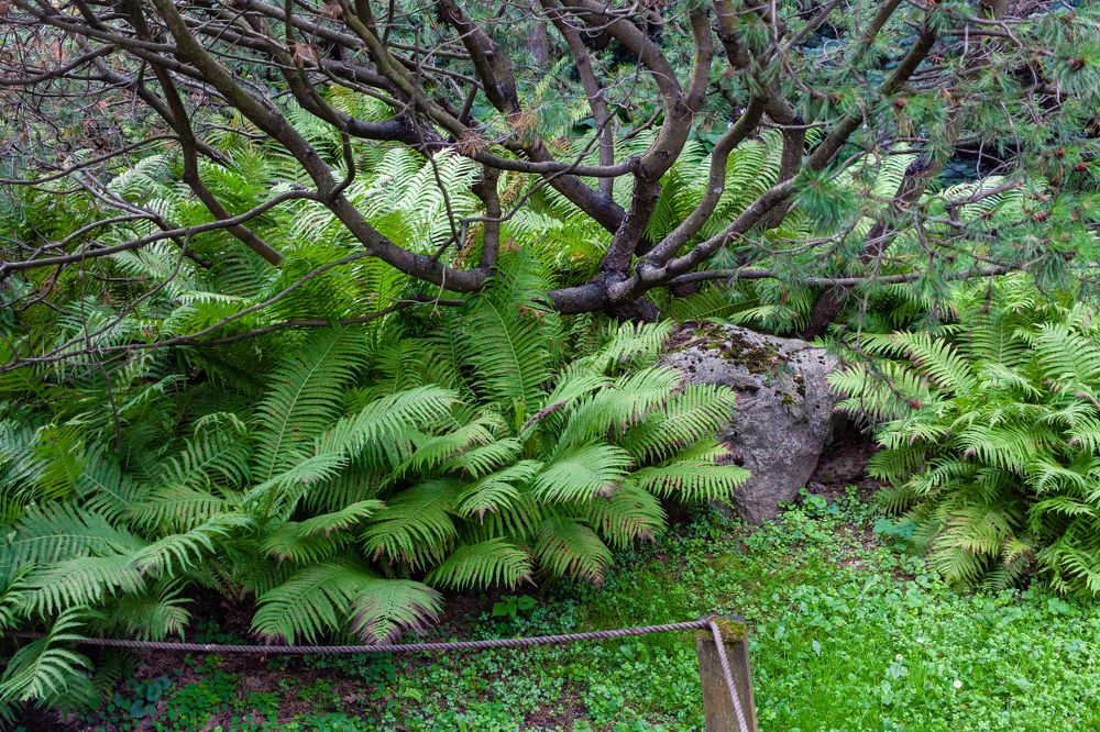 Photograph by Сергей Щербаков