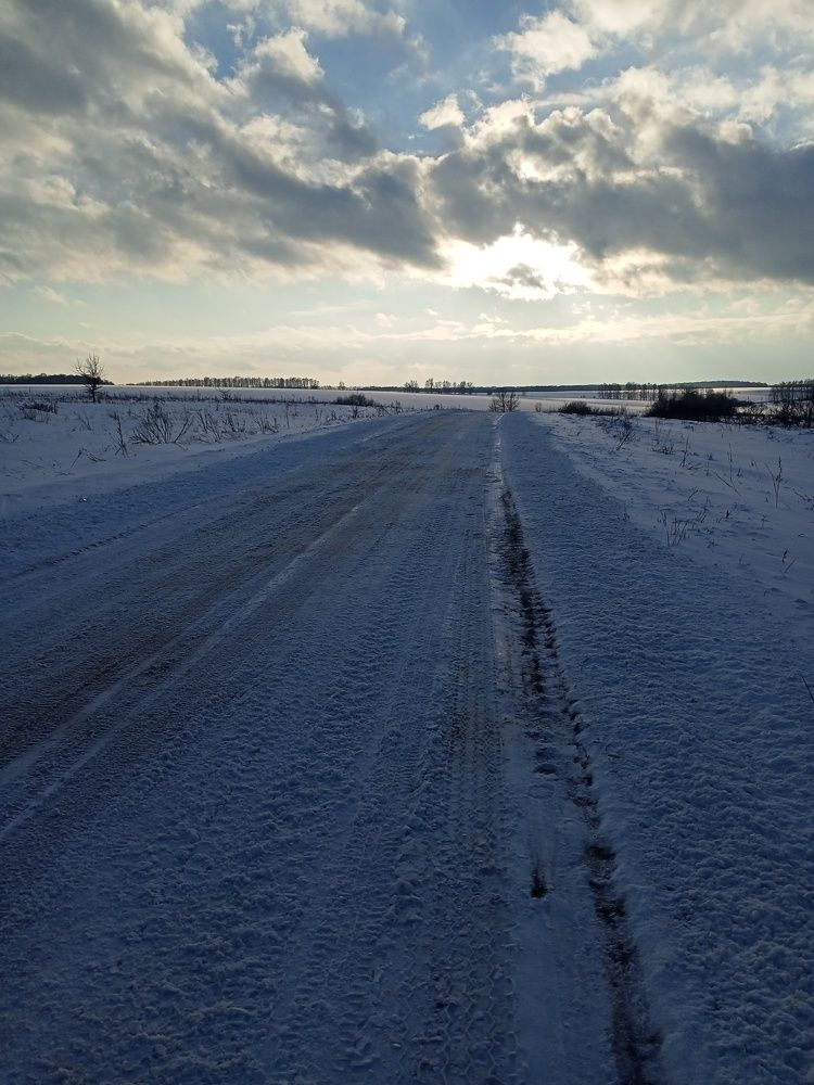 Photo #10185778