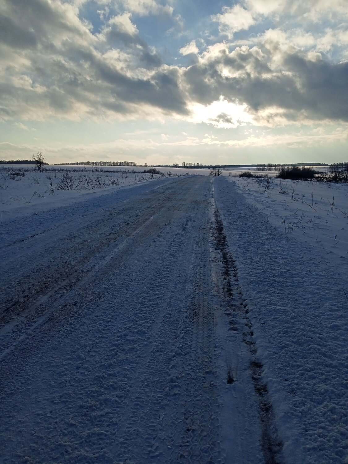 Photo #10185778