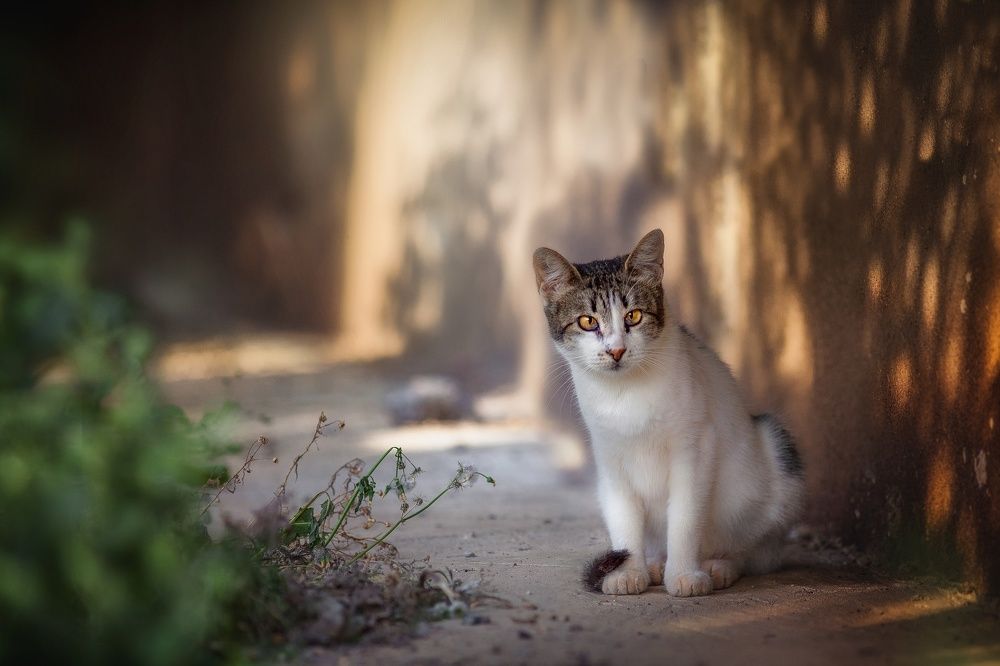 Photograph by Матвеева Наталия