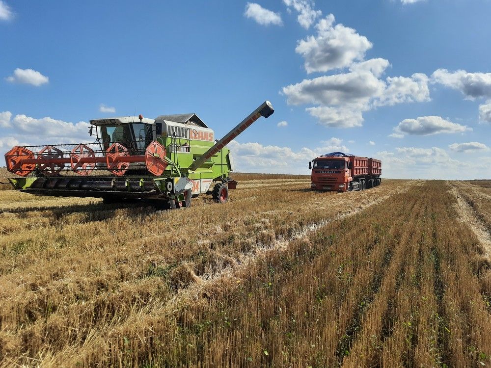 Photograph by Михаил Абдуллин