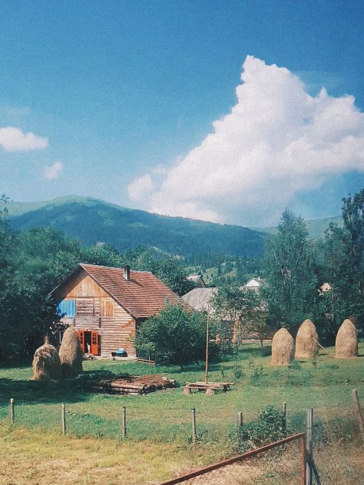 Photograph by Victoria Stoliarenko