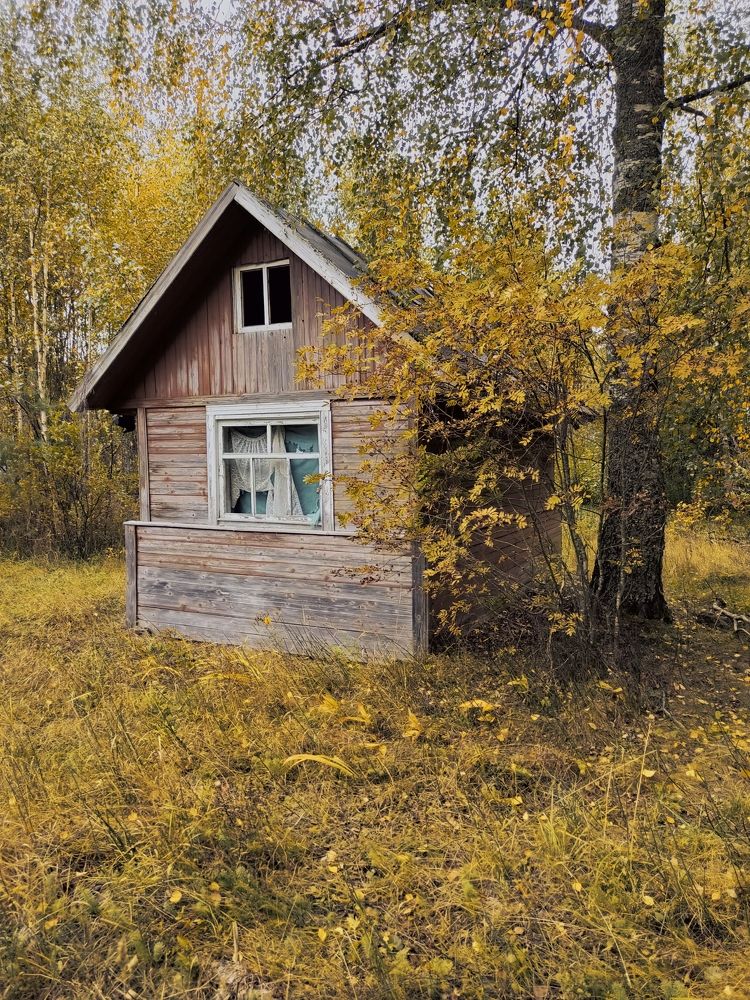 Фотография автора Светлана Смирнова