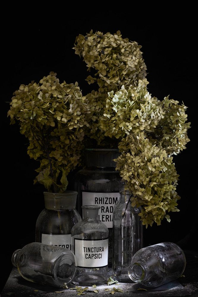 Фотография автора Могилевцева Дарья