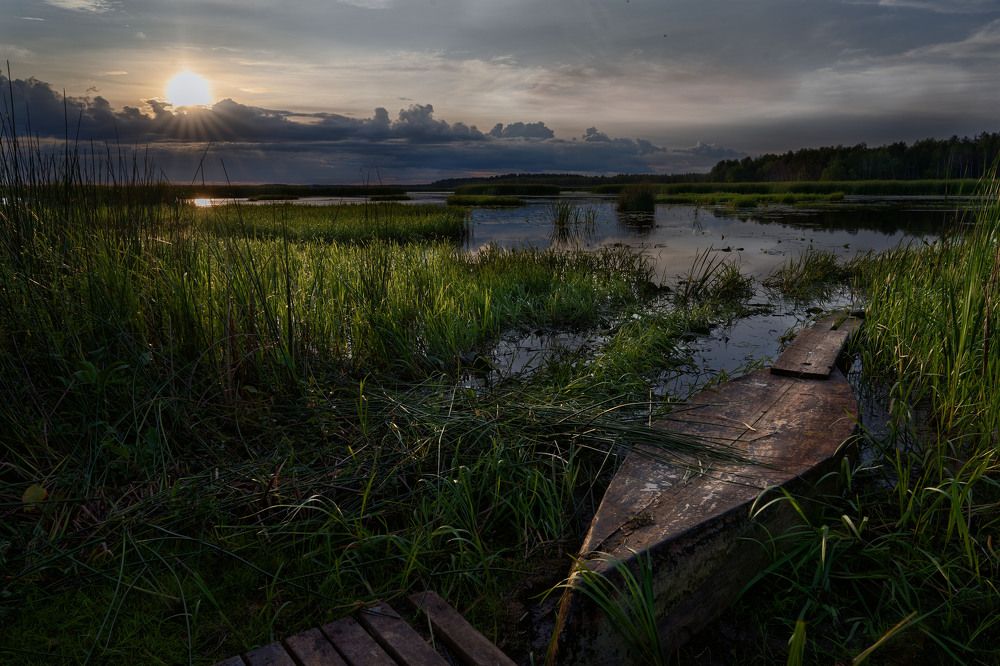 Фотография автора Могилевцева Дарья
