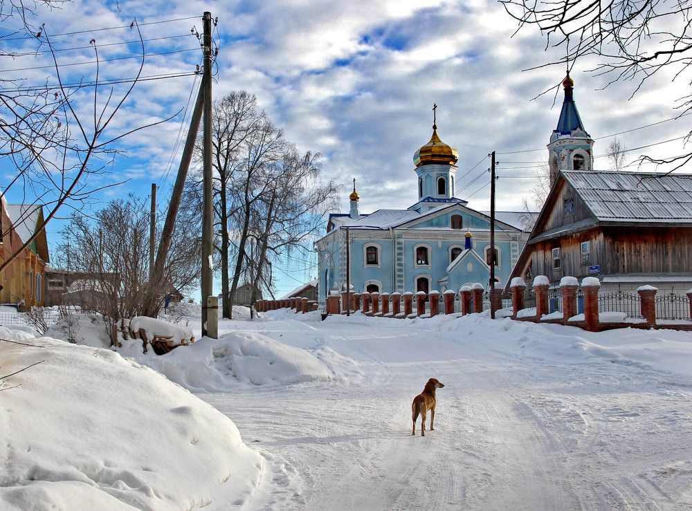 Фотография автора Светлана Бакулина
