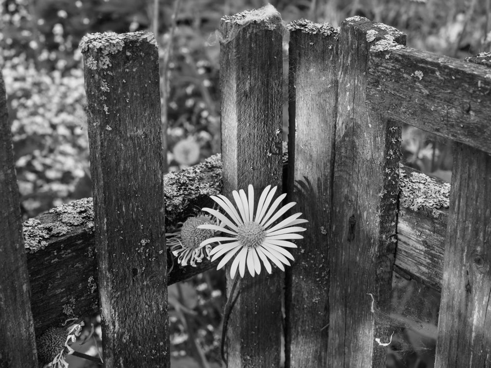 Photograph by Сергей Гаврилов