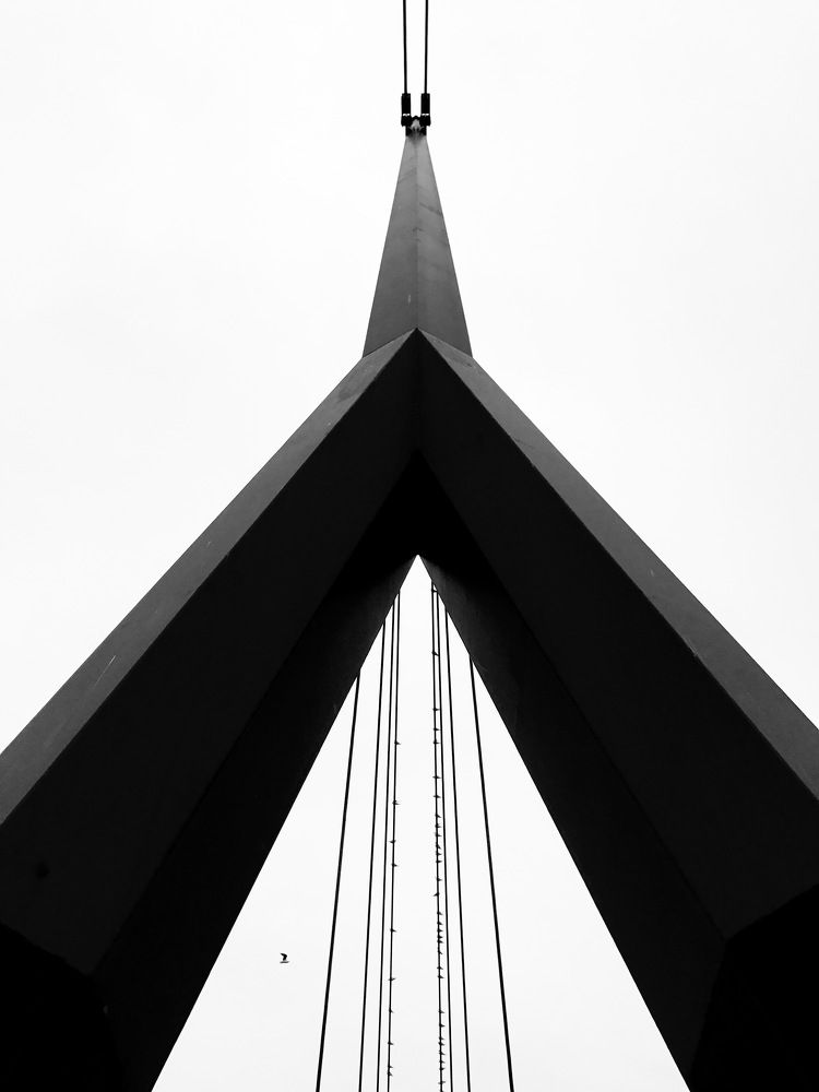 Photograph by Wajdi El zoghbi