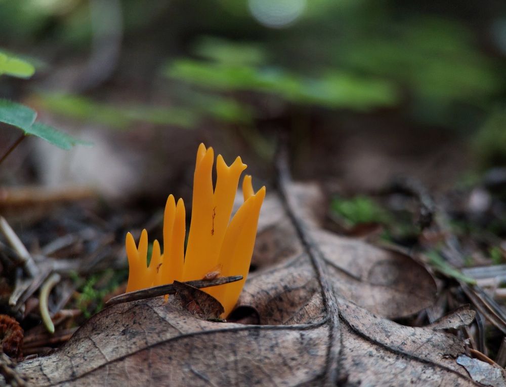 Photograph by Данила Черезов