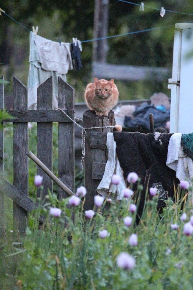 Photograph by Александра