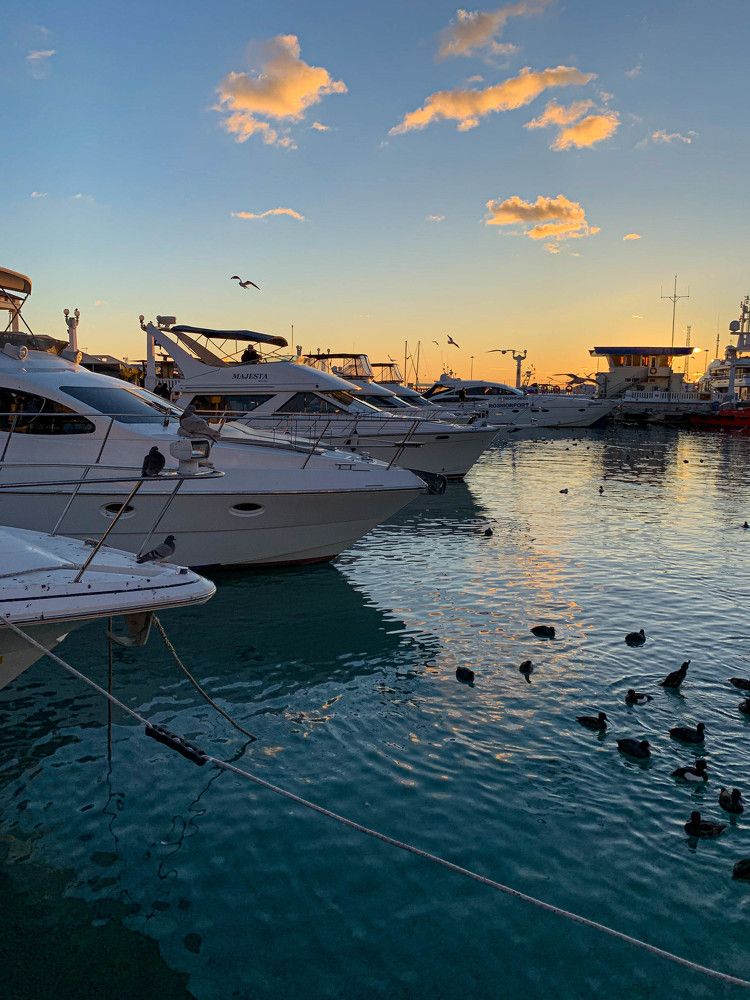 Photograph by Светлана Тихоненко