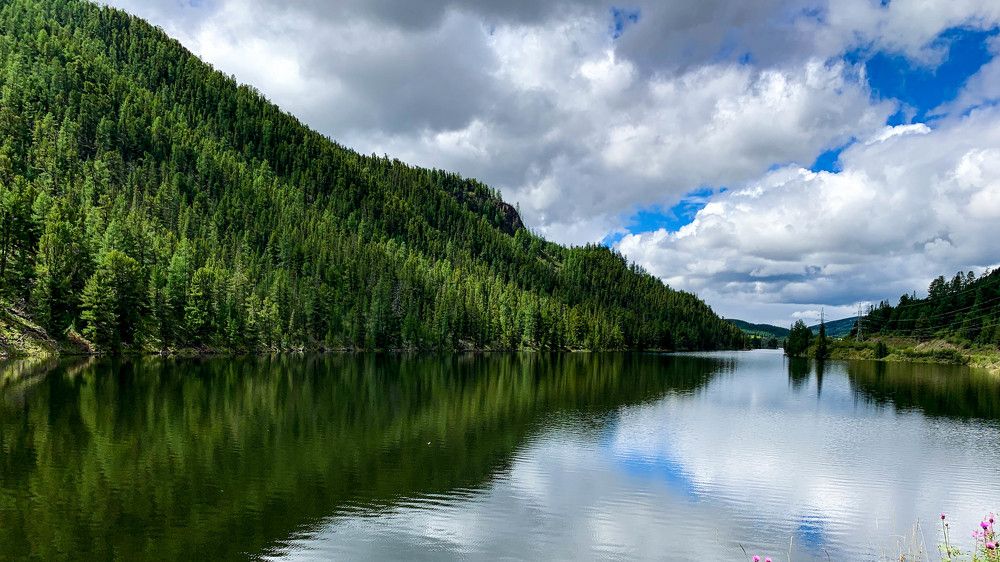 Photograph by Светлана Тихоненко