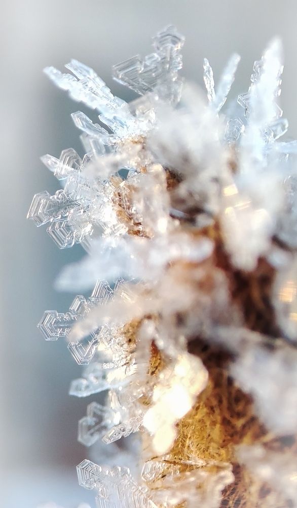 Фотография автора Анастасия Мамаева