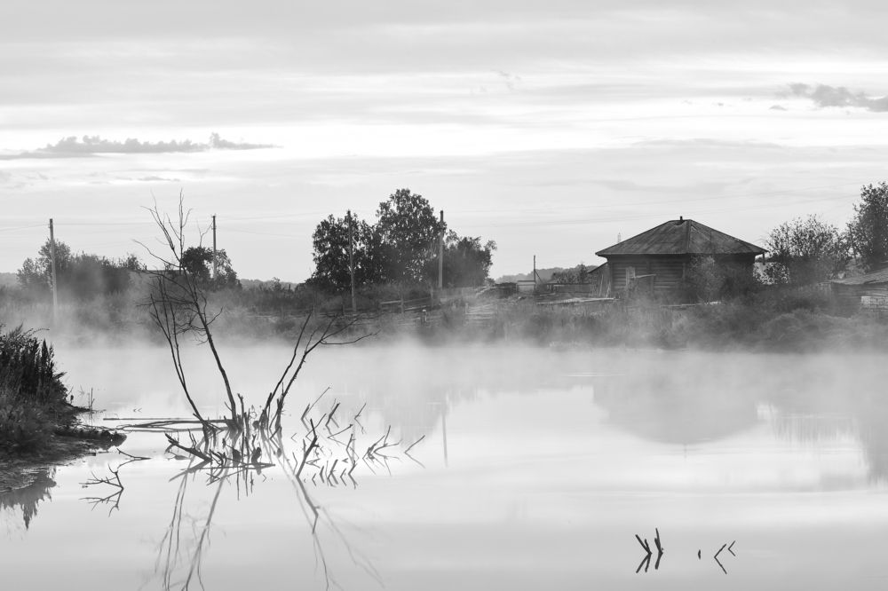 Photograph by Алексей Хасанов