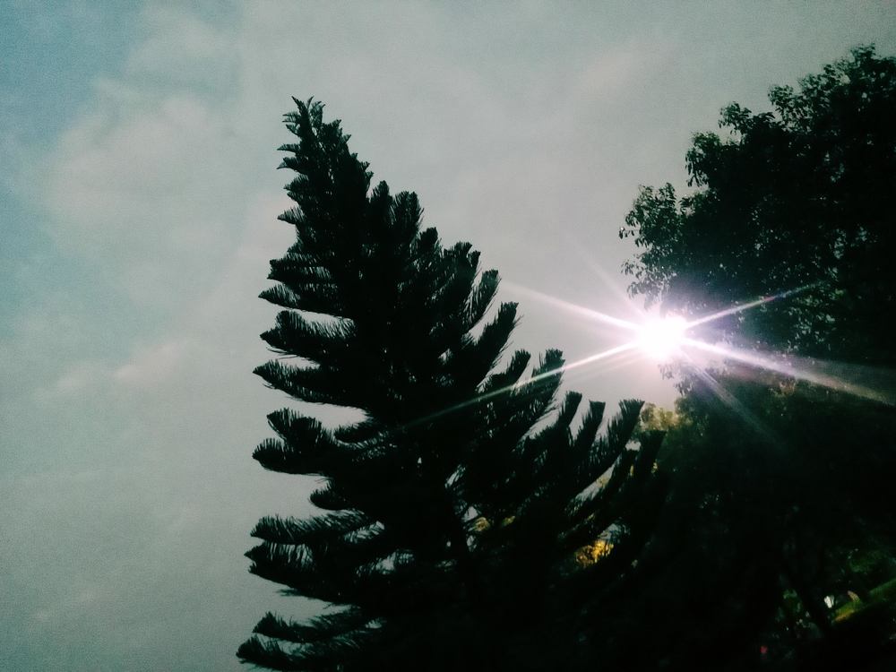 Photograph by Ramya J