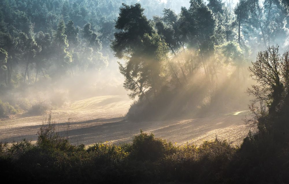 Photograph by Nikos(Nougzari) Leonov