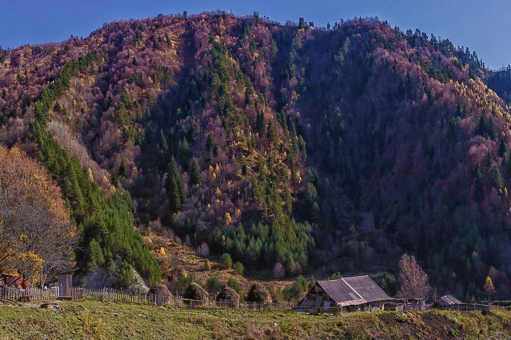 Photograph by Нина Овчинникова