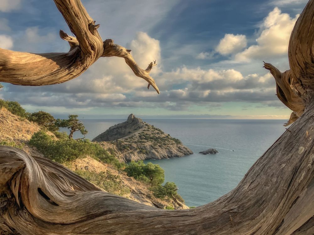 Photograph by Дмитренко Екатерина