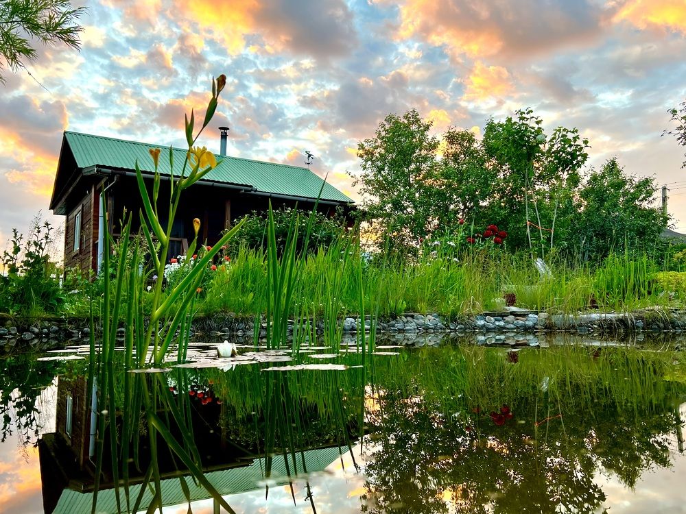 Photograph by Валерия