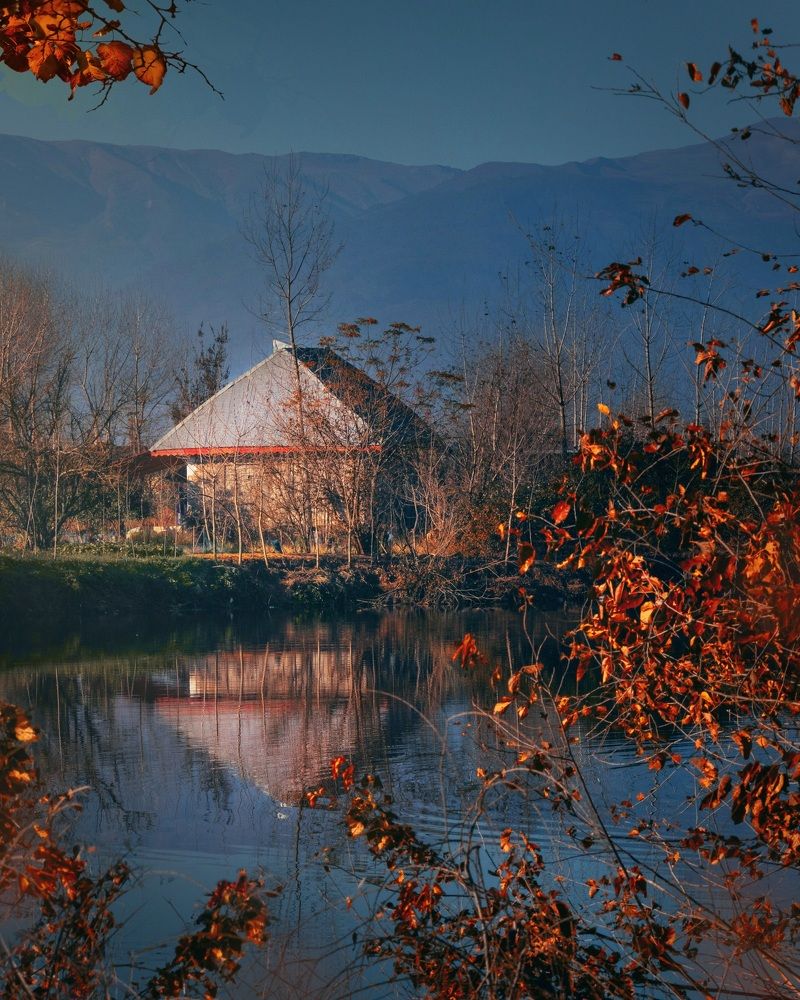 Фотография автора Shahram Hafezi