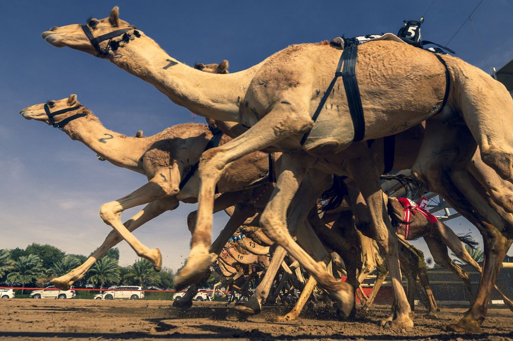 Photograph by Manny Fajutag