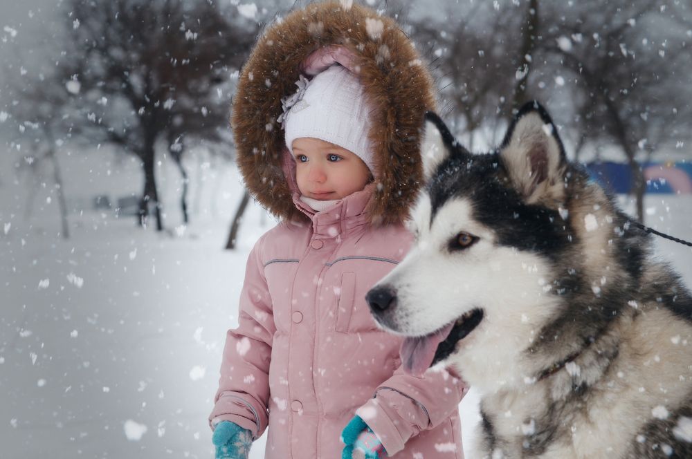 Photograph by Дмитрий Арабаджи