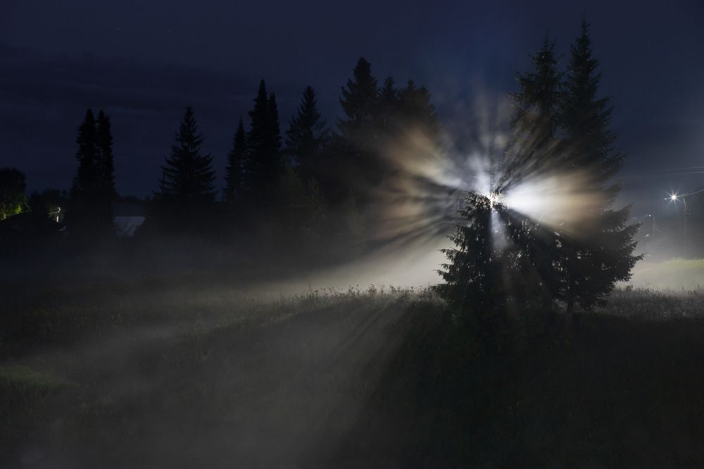 Photograph by Наталия Колтакова