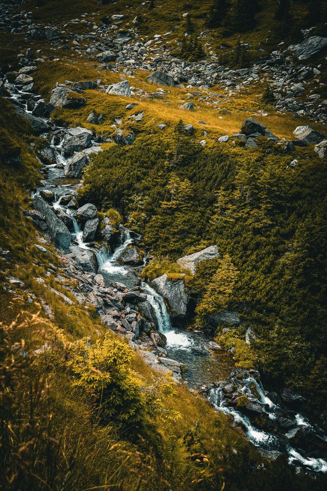 Photograph by Vajna Imre