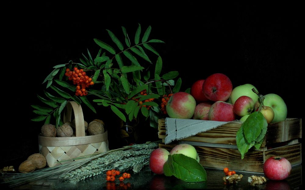 Фотография автора Nelya  Lysenko