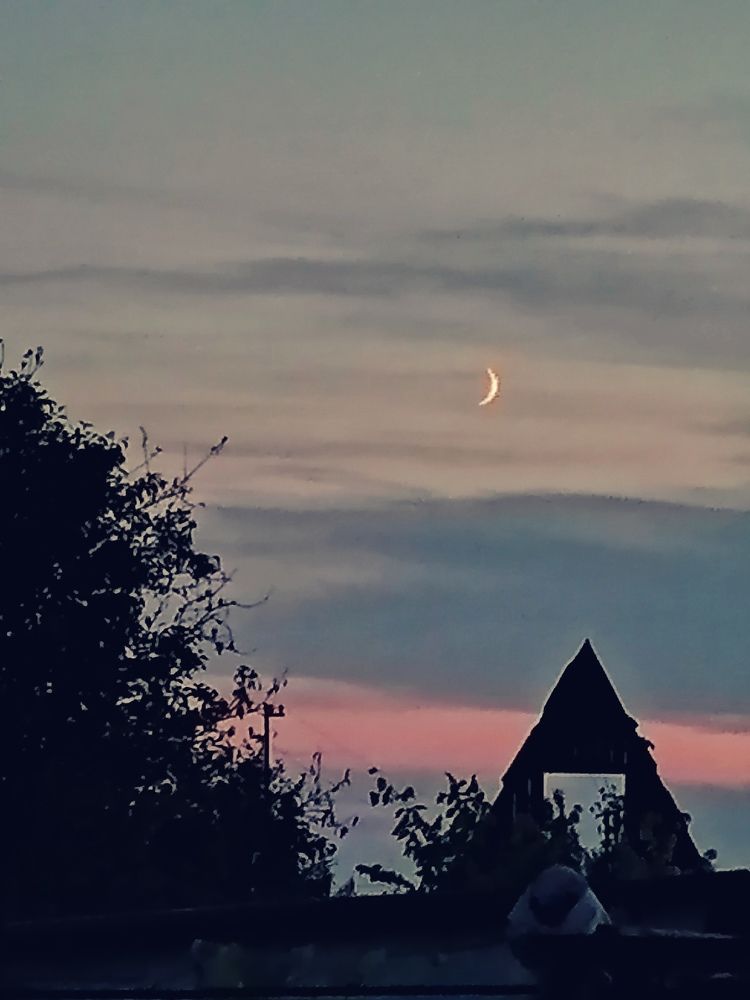 Портал-Гравит