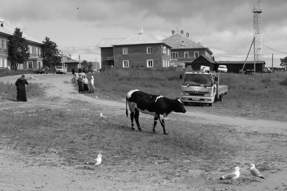 Фотография автора Колосова Елена