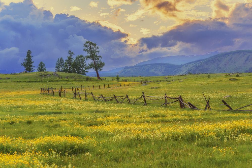 Photograph by Нина Овчинникова