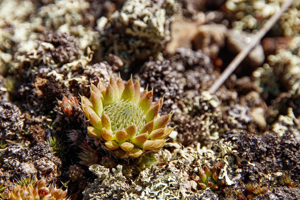 Photograph by Нина Овчинникова