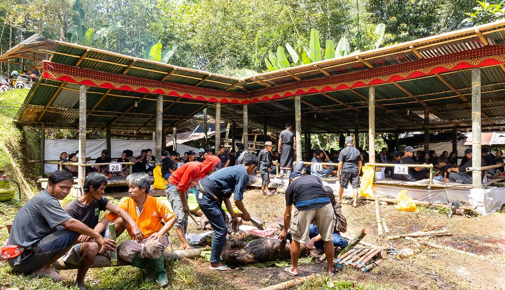 Фотография автора Peter Putters