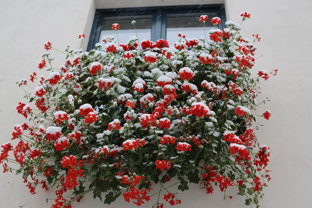 Фотография автора Natalia Bogdanovska