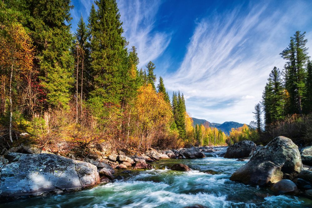 Золотая осень в тайге Западных Саян.