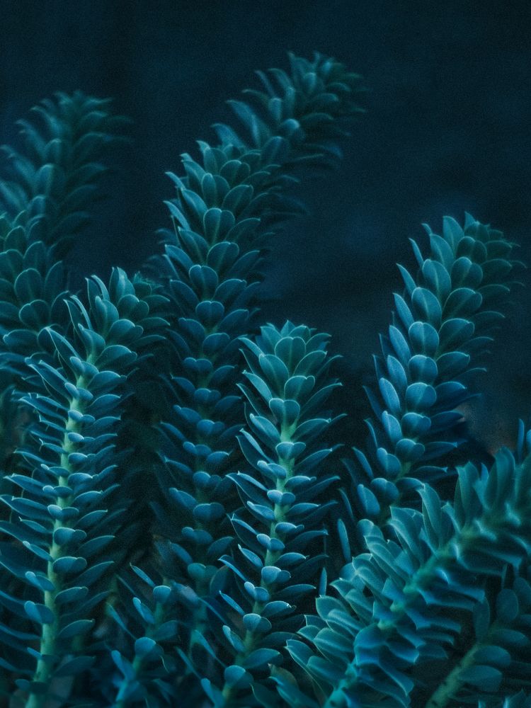 Photograph by Ксения Лаевская