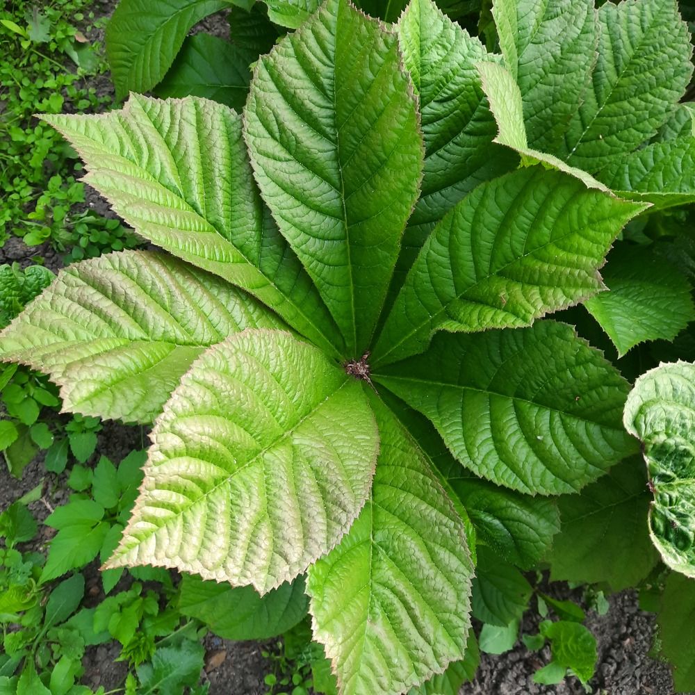 Photograph by Олеся