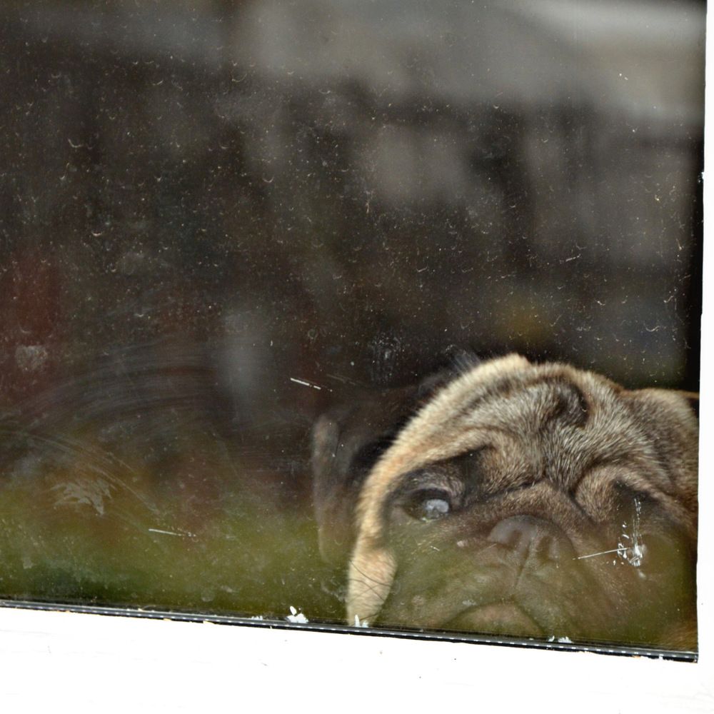 Photograph by Светлана Тихоненко