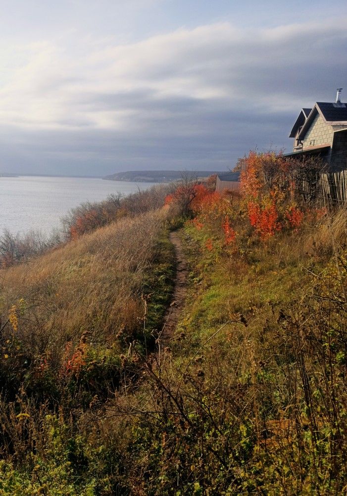 Photograph by Елизавета Мишина