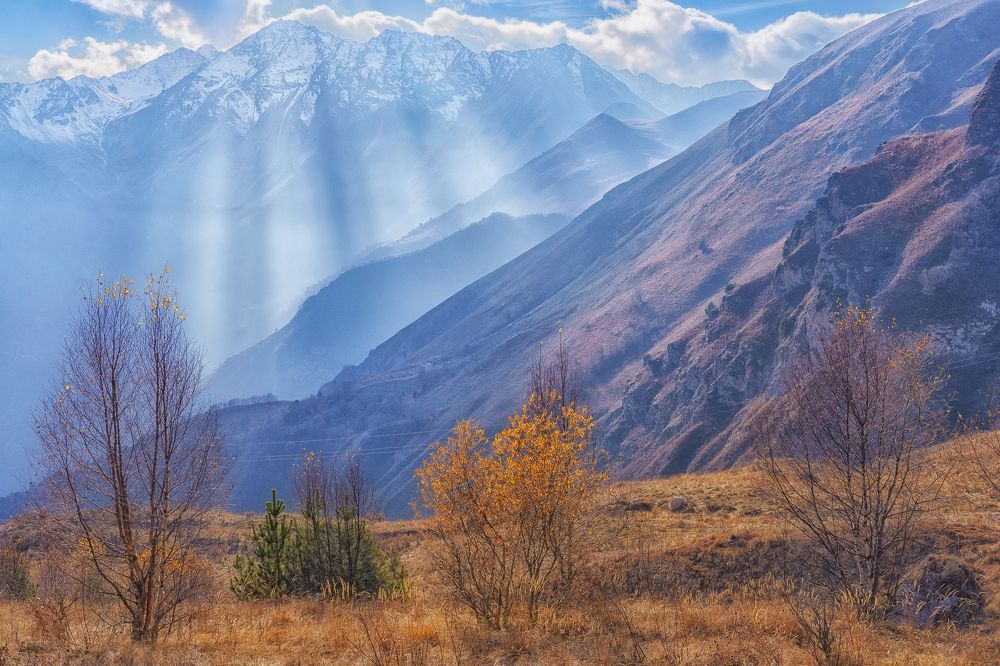 Photograph by Нина Овчинникова