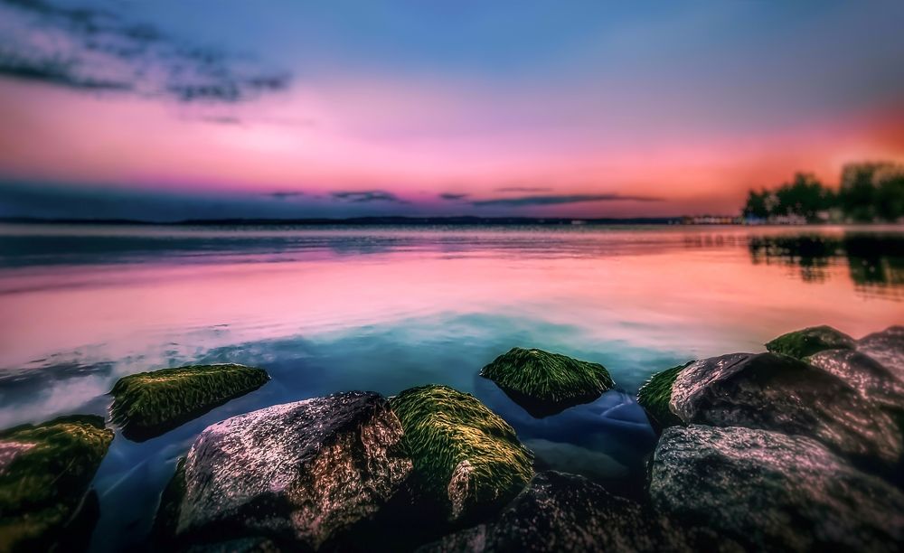 Фотография автора Nomin Jerabek