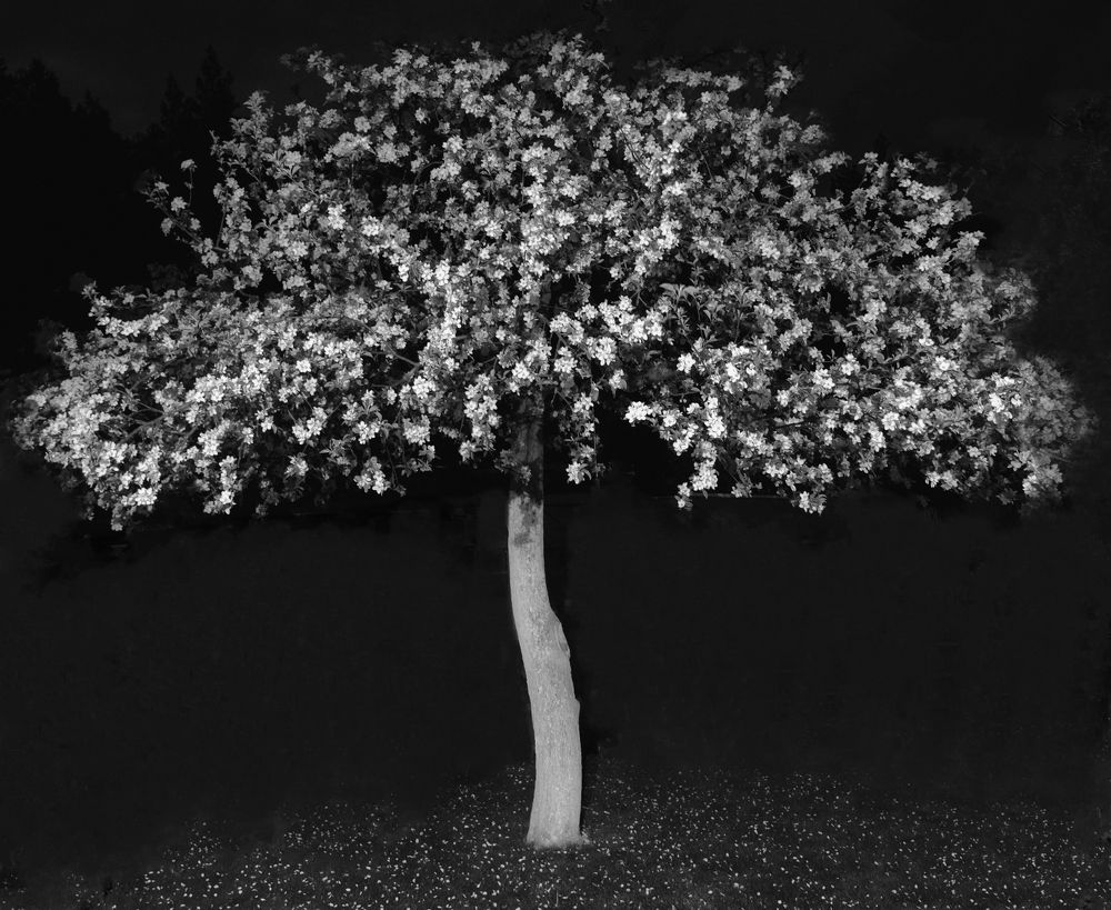 Photograph by Juris Buklovskis